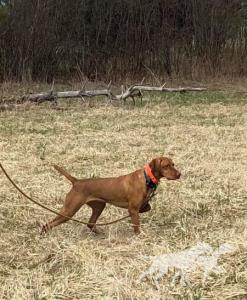 Scout 'Em Out Ya Gotta Keep Her