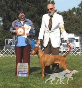 Arsla And Auburn's Sunny Boy