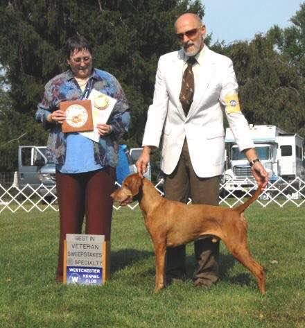 Arsla And Auburn's Sunny Boy