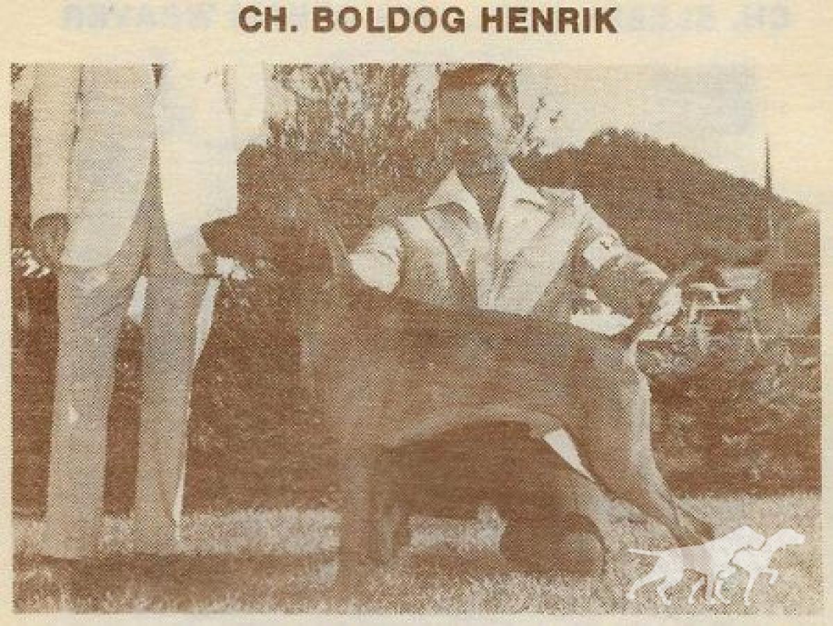 Boldog Henrik