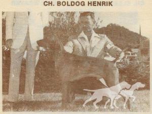 Boldog Henrik