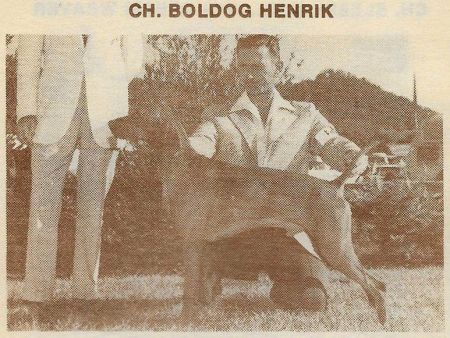 Boldog Henrik