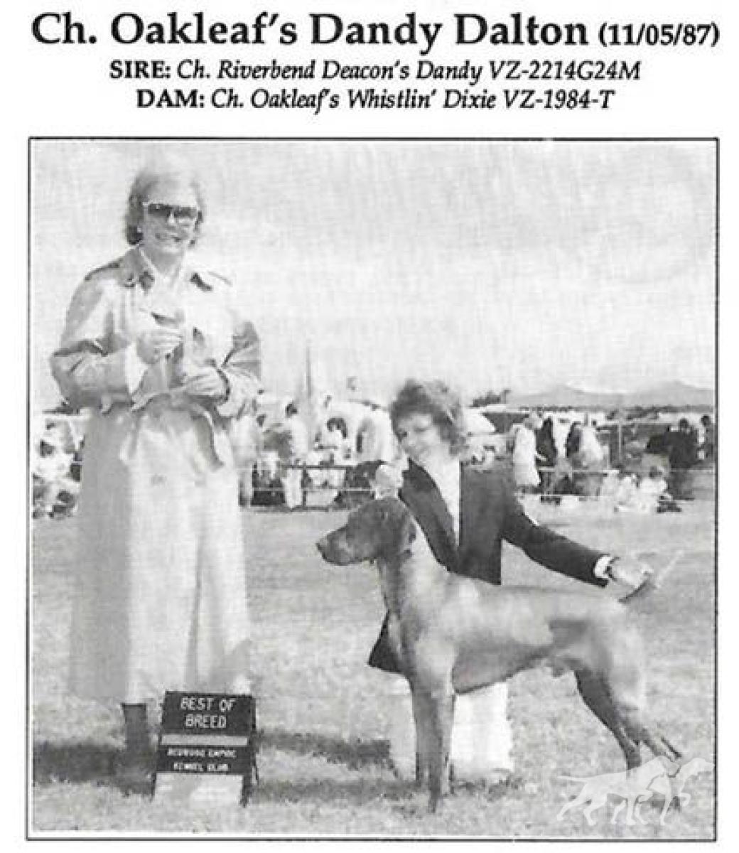 Oakleaf's Dandy Dalton