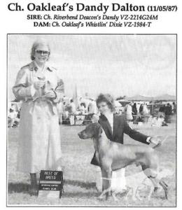 Oakleaf's Dandy Dalton