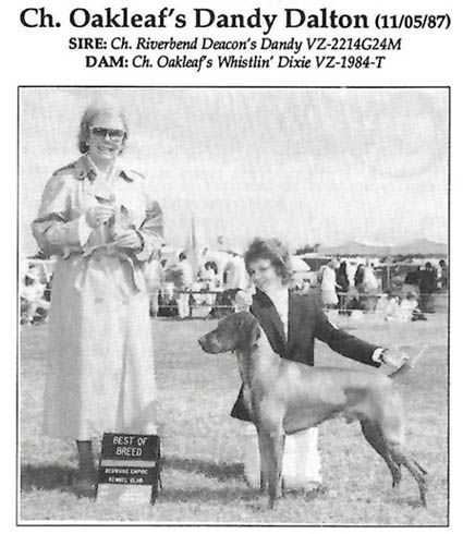 Oakleaf's Dandy Dalton