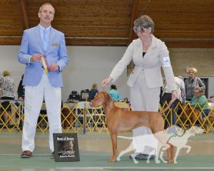 Eastwind's Wild Card