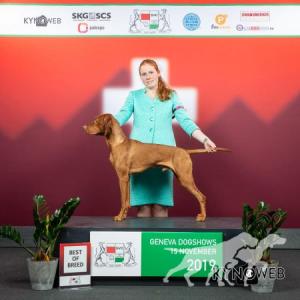 HuNiMo Ravel
