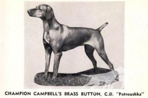Campbell's Brass Button