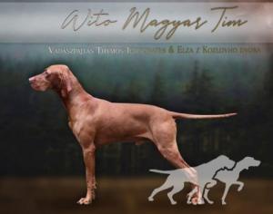 Wito Magyar Tim