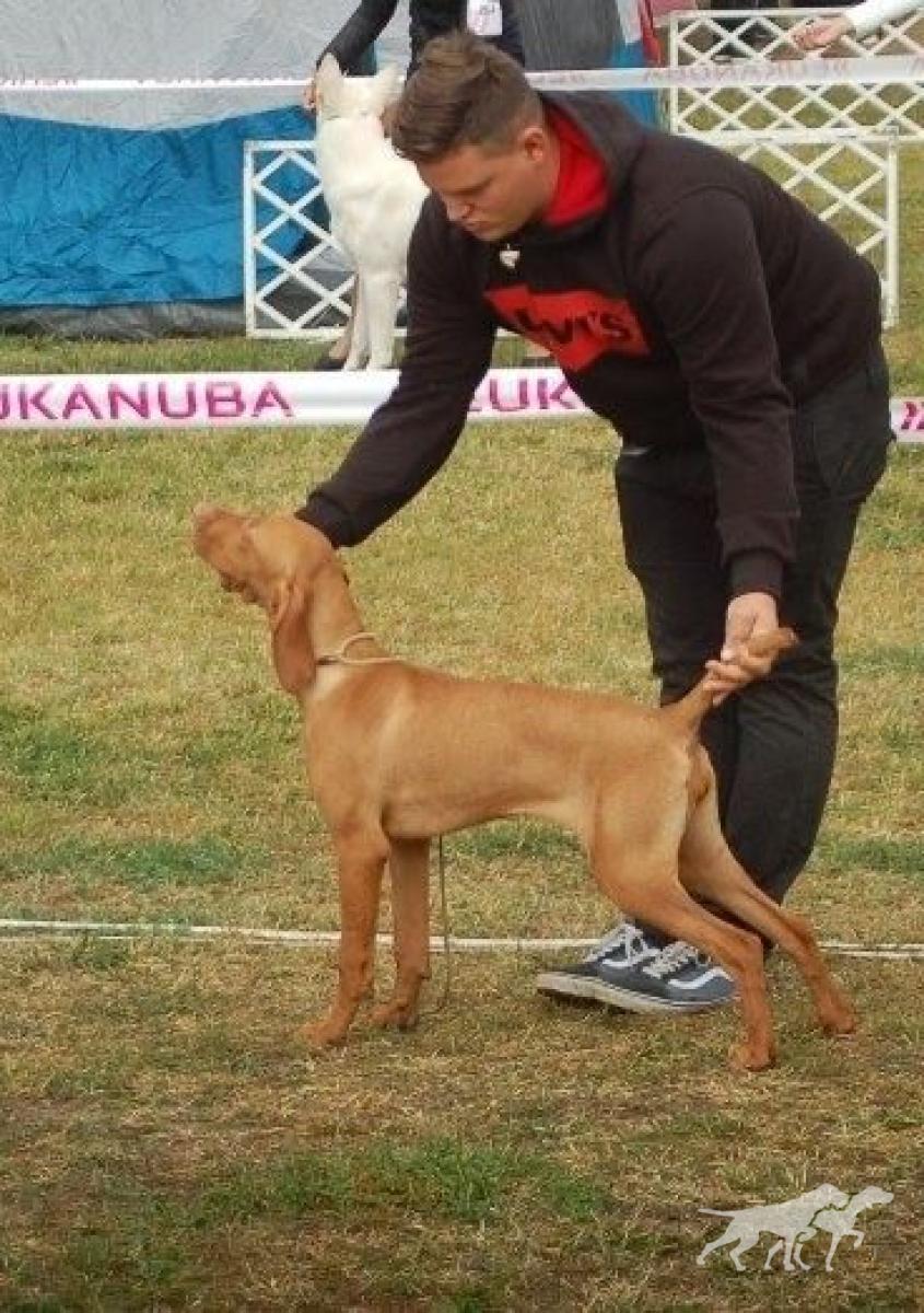 Magasparti Rutinos Karma