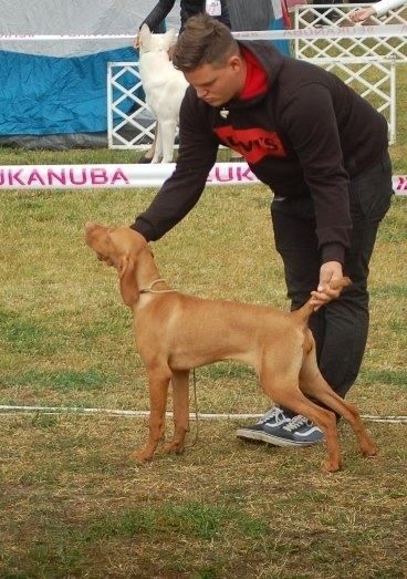 Magasparti Rutinos Karma