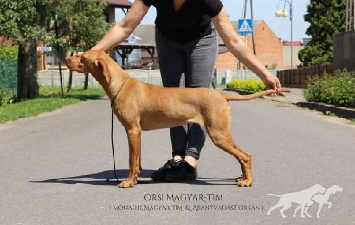 Orsi Magyar Tim