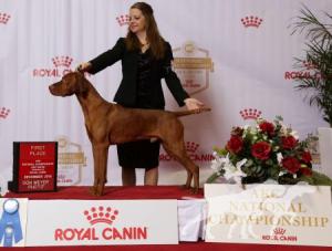 Kamo's Rosko At Skoglundfarm