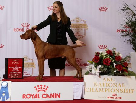 Kamo's Rosko At Skoglundfarm