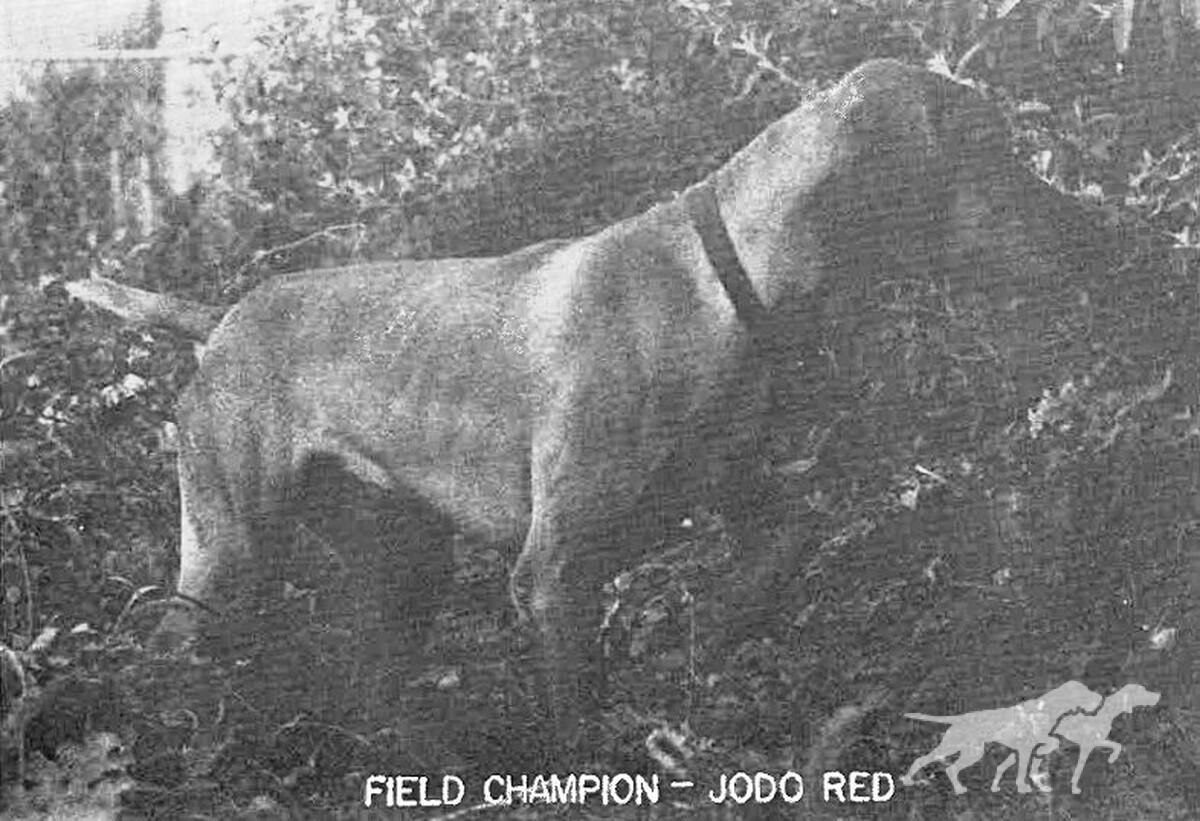 Jodo Red