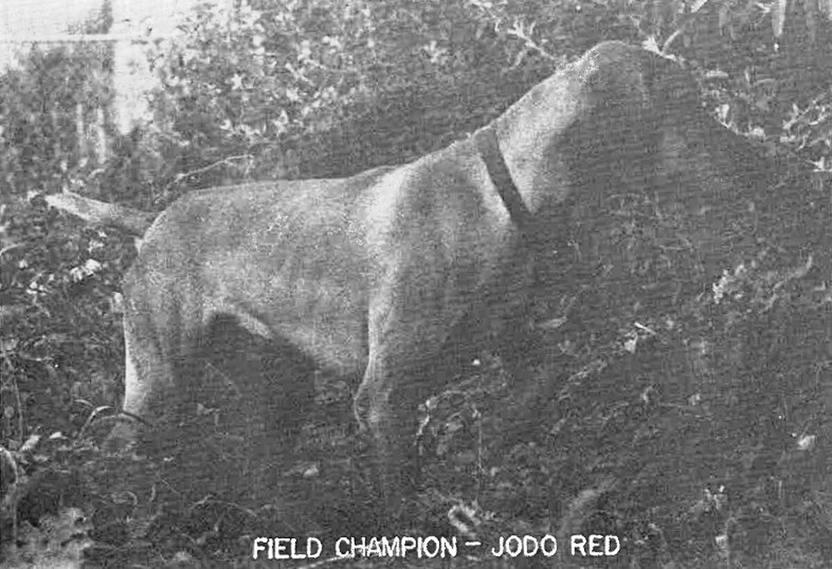 Jodo Red