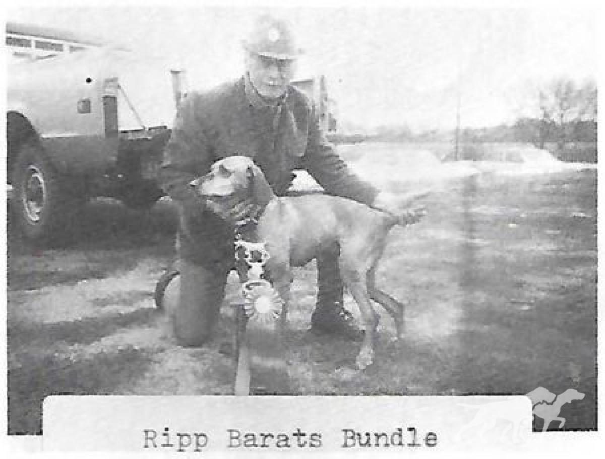Ripp Barat's Bundle