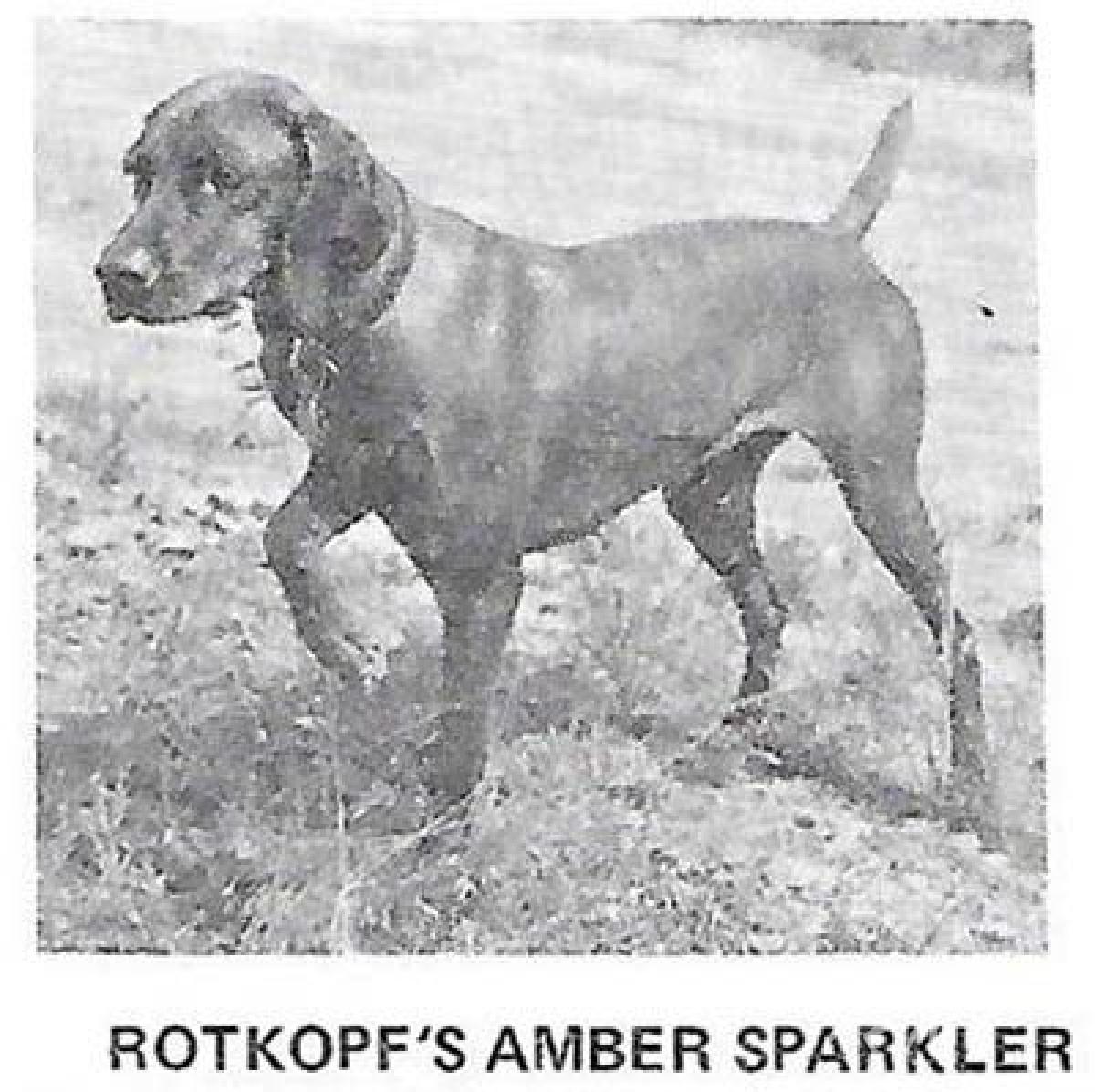 Rotkopf's Amber Sparkler