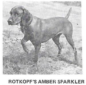Rotkopf's Amber Sparkler