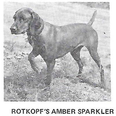 Rotkopf's Amber Sparkler
