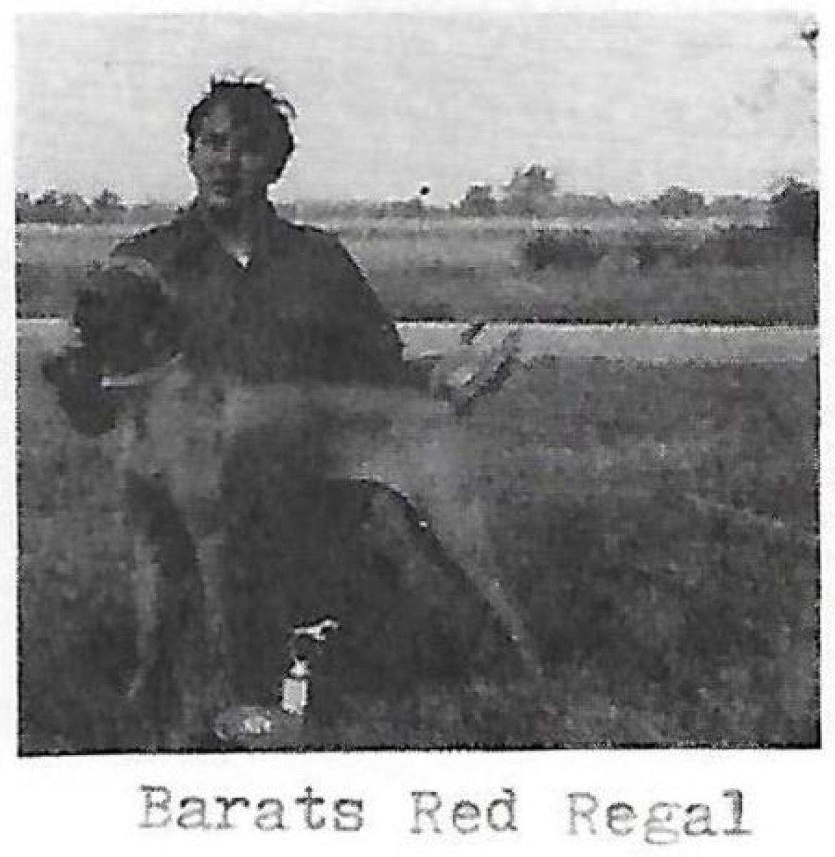 Barat's Red Regal