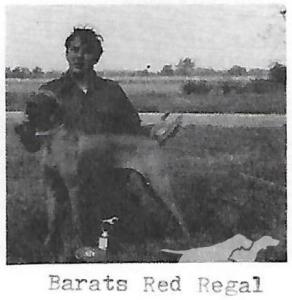 Barat's Red Regal