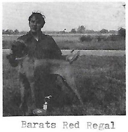 Barat's Red Regal