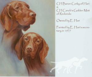 Baron Corky of Hari