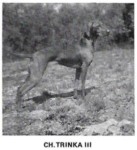 Trinka III