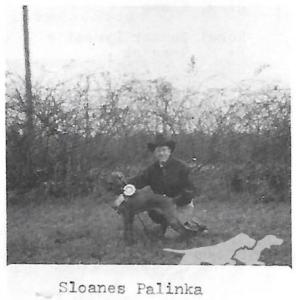 Sloane's Palinka