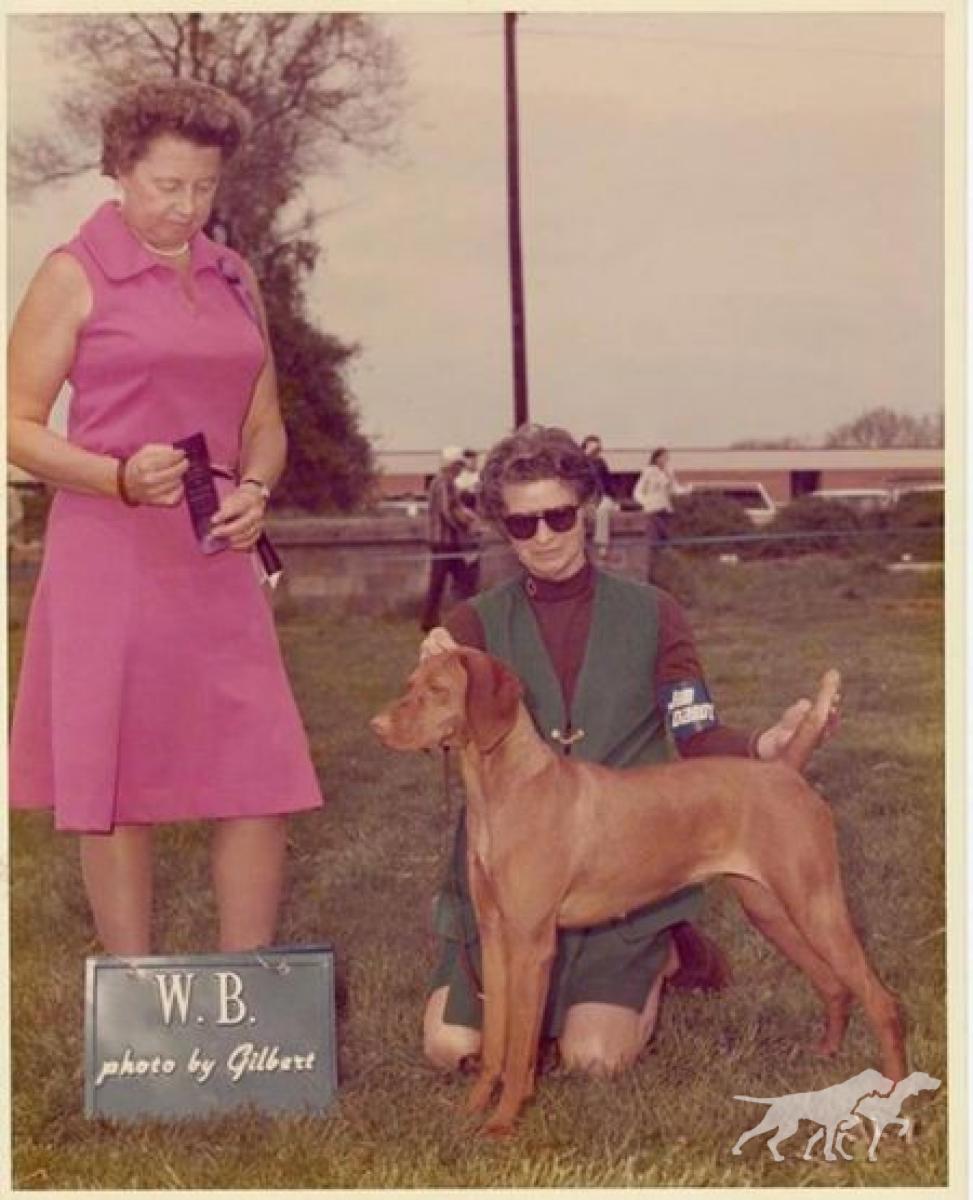 Boots Bey of Bethwood