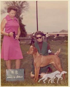 Boots Bey of Bethwood