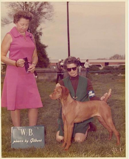 Boots Bey of Bethwood