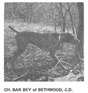 Bar Bey of Bethwood