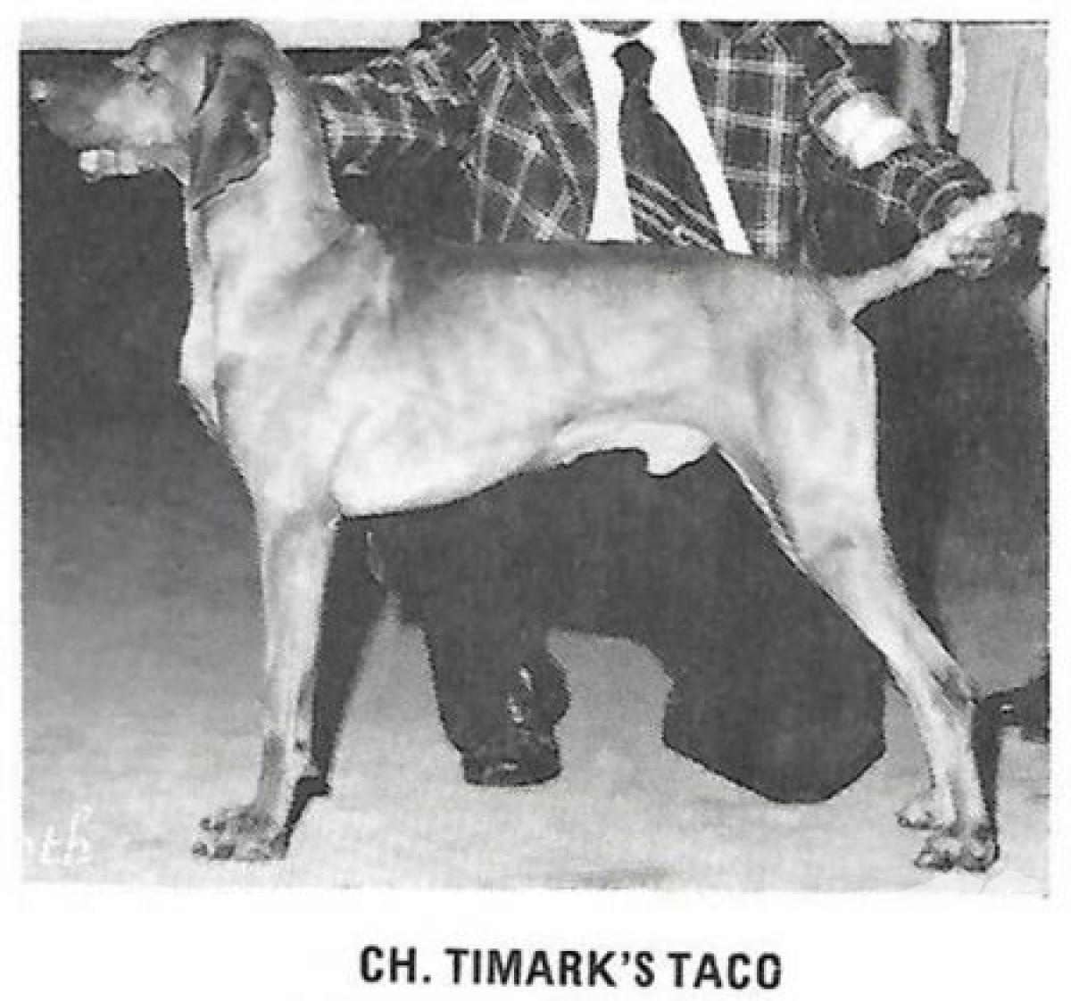 Timarka's Taco