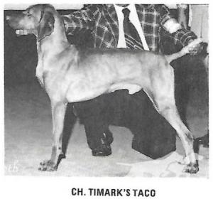 Timarka's Taco