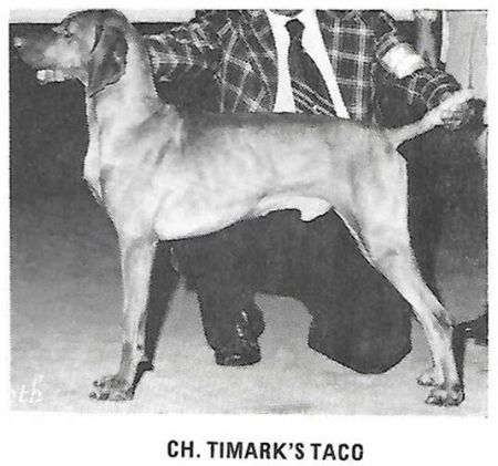 Timarka's Taco