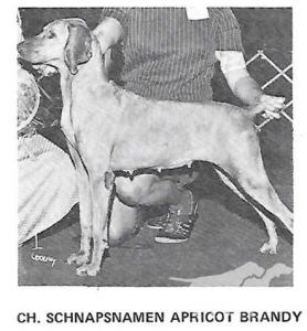Schnapsnamen Apricot Brandy