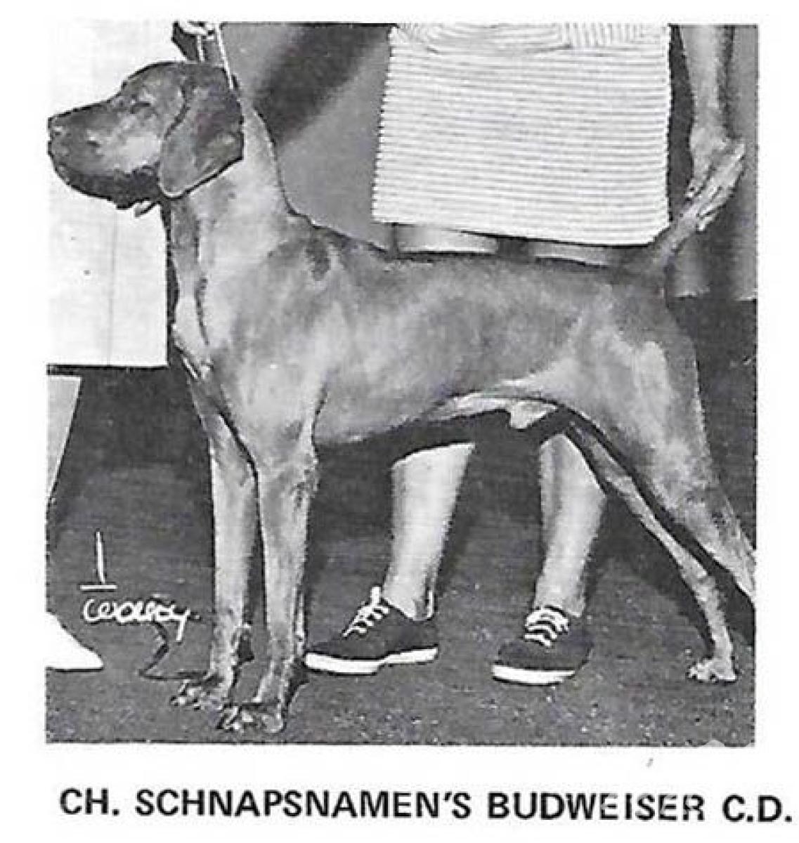 Schnapsnamen's Budweiser