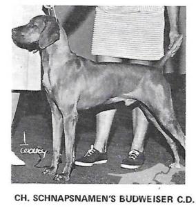 Schnapsnamen's Budweiser