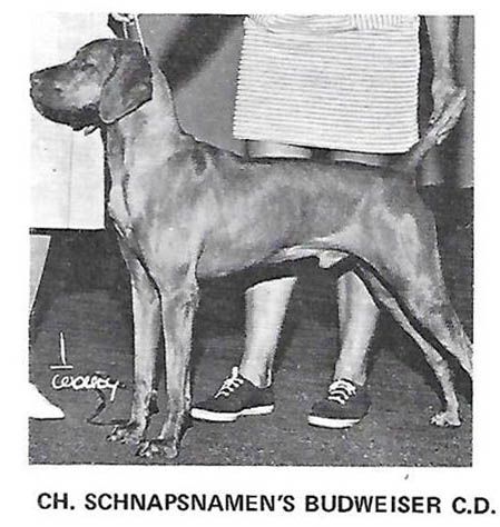 Schnapsnamen's Budweiser