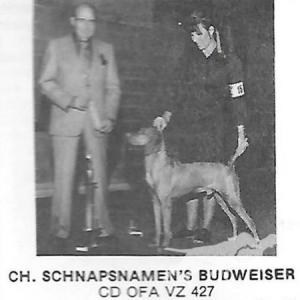 Schnapsnamen's Budweiser