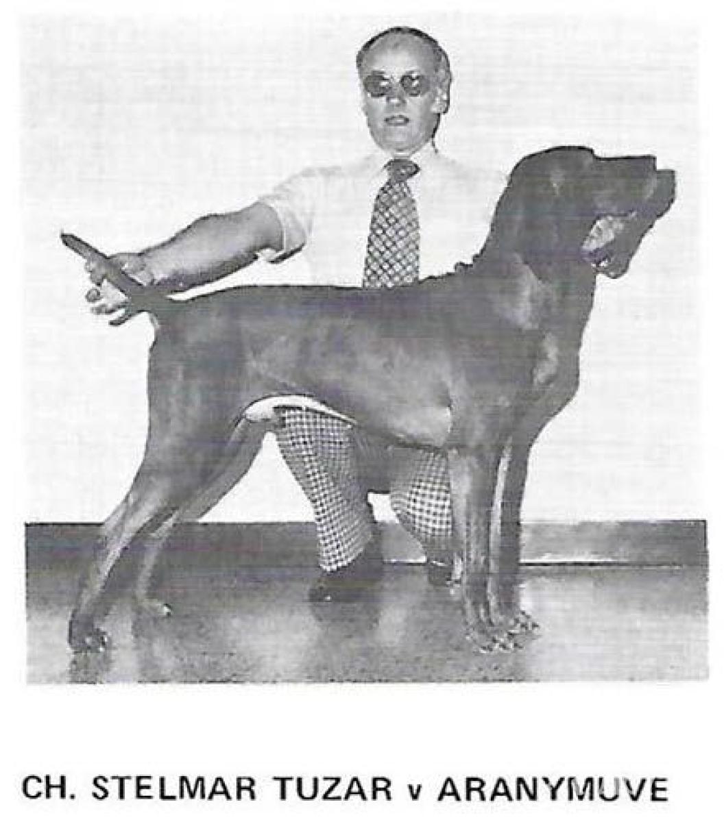 Stelmar Tuzar v Aranymuve