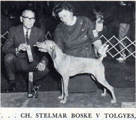 Stelmar Boske v Tolgyes