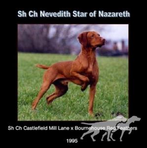 Nevedith Star of Nazareth