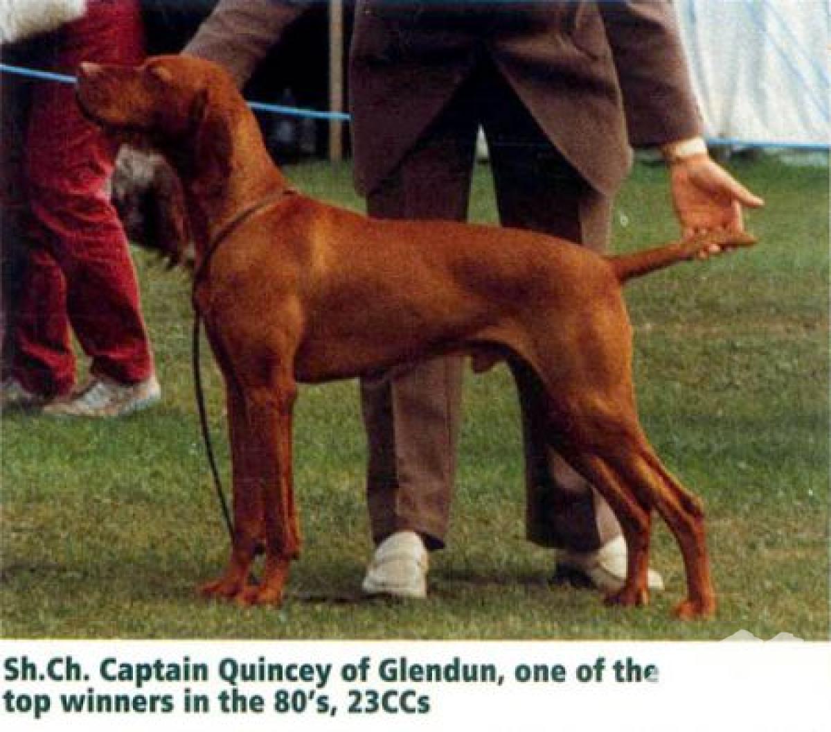 Captain Quincey of Glendun