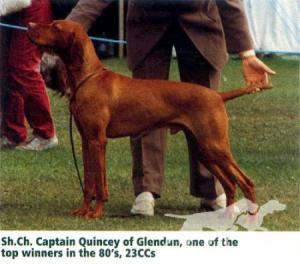 Captain Quincey of Glendun
