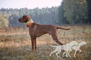 Lando vom Westerbach