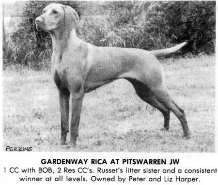 Gardenway Rica of Pitswarren