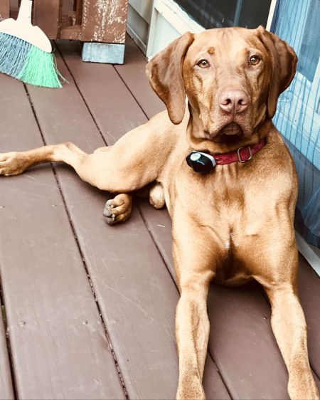 Bodhi III